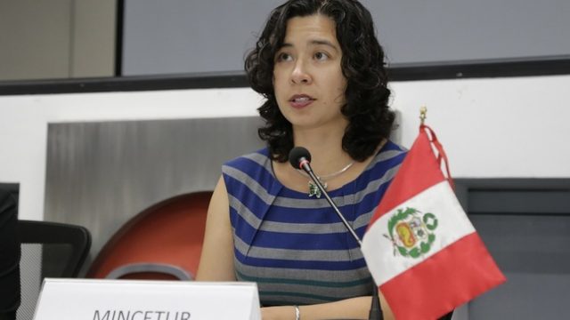 standard_Viceministra_Bayona