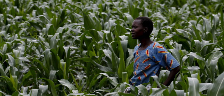 SDG500: a new fund kickstarting sustainable investment