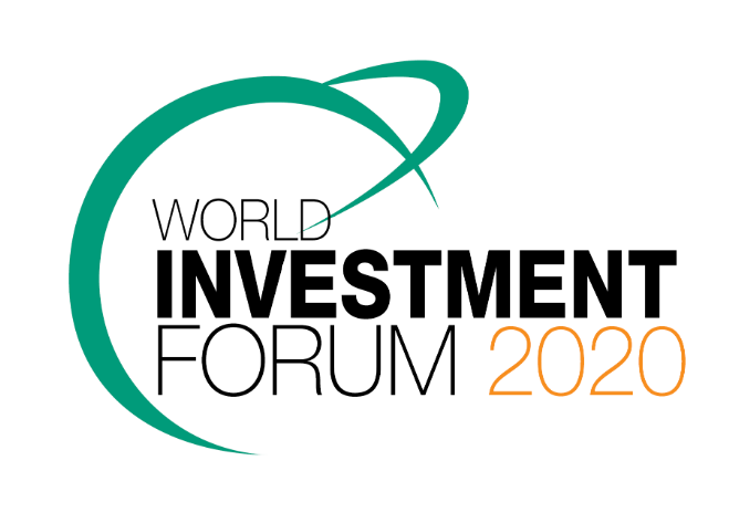 world investment promotion
